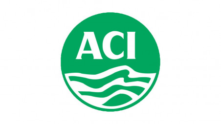 ACI Group